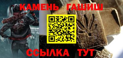 хмурый Камень-на-Оби
